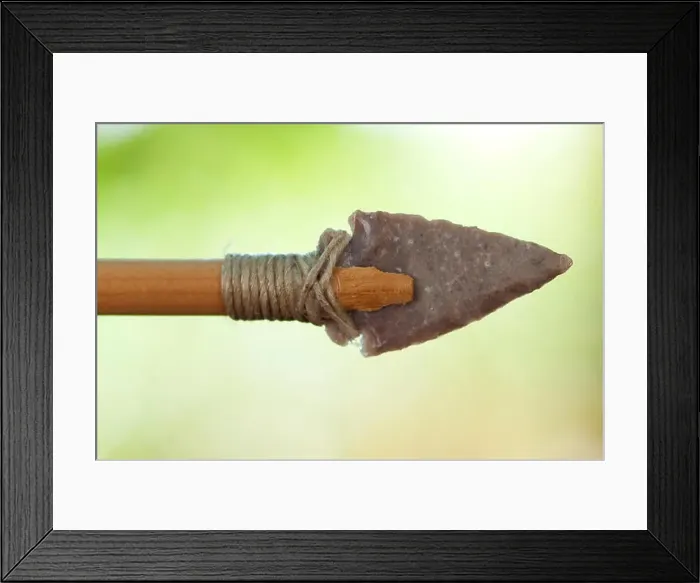 Framed Print : Replica Prehistoric Wood Arrows with Stone Points Used For Hunting Framed Print : Replica Prehistoric Wood Arrows with Stone Points Used For Hunting