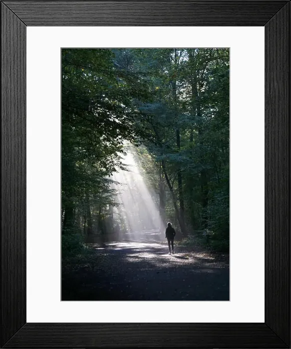 Framed Print : unrecognizable jogger running through dark wood silhouetted against shaft of sunlight Framed Print : unrecognizable jogger running through dark wood silhouetted against shaft of sunlight