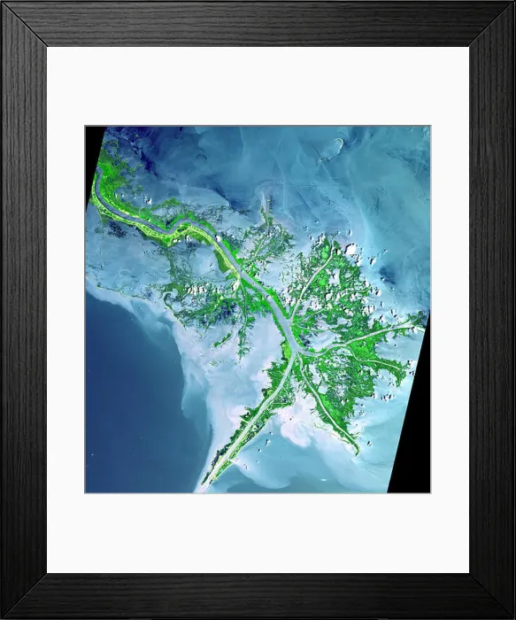 Framed Print : Satellite image of the Mississippi River Delta enters the Gulf of Mexico Framed Print : Satellite image of the Mississippi River Delta enters the Gulf of Mexico