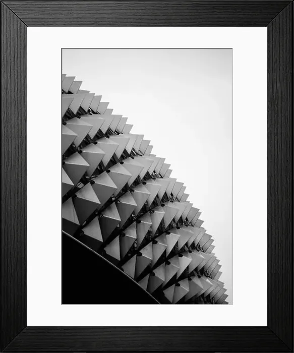 Framed Print : Side profile of the Esplanade Theatres on the Bay roof in Singapore