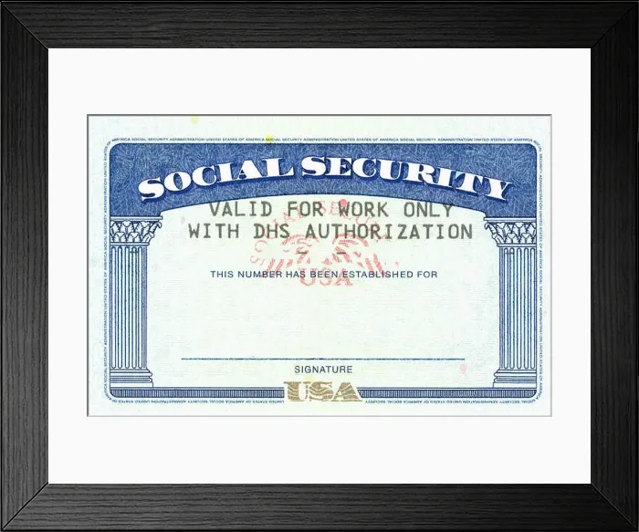 Framed Print : social security card ssn blank original with text DHS authorization Framed Print : social security card ssn blank original with text DHS authorization