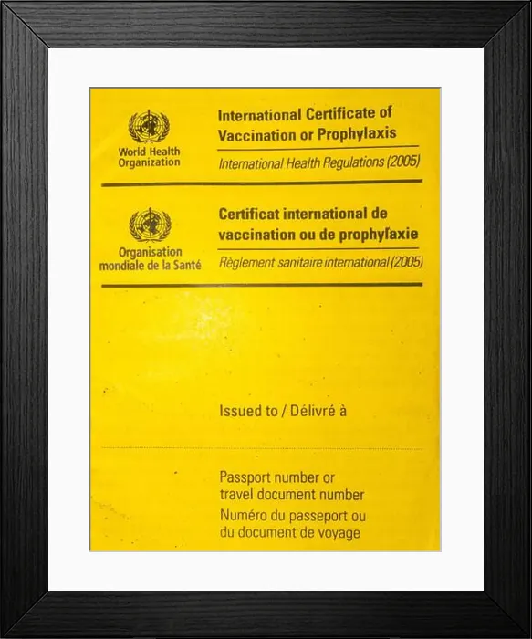 Framed Print : International certificate of vaccination against yellow fever Framed Print : International certificate of vaccination against yellow fever
