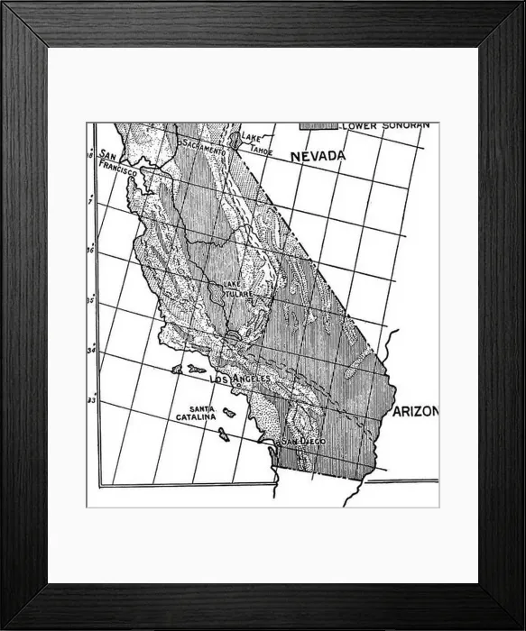 Framed Print : Birds of California; an introduction to more than three hundred common birds of the state and adjacent islands Framed Print : Birds of California; an introduction to more than three hundred common birds of the state and adjacent islands