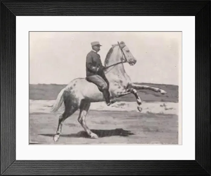 Framed Print : The French rider of the Cadre Noir Etienne Beudant Framed Print : The French rider of the Cadre Noir Etienne Beudant
