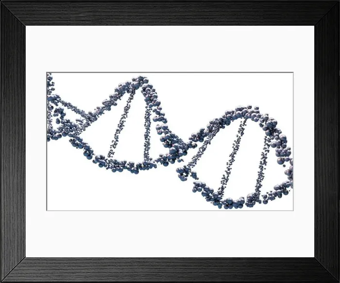 Framed Print : Dna structure under a microscope. genetic information molecules. 3d render Framed Print : Dna structure under a microscope. genetic information molecules. 3d render