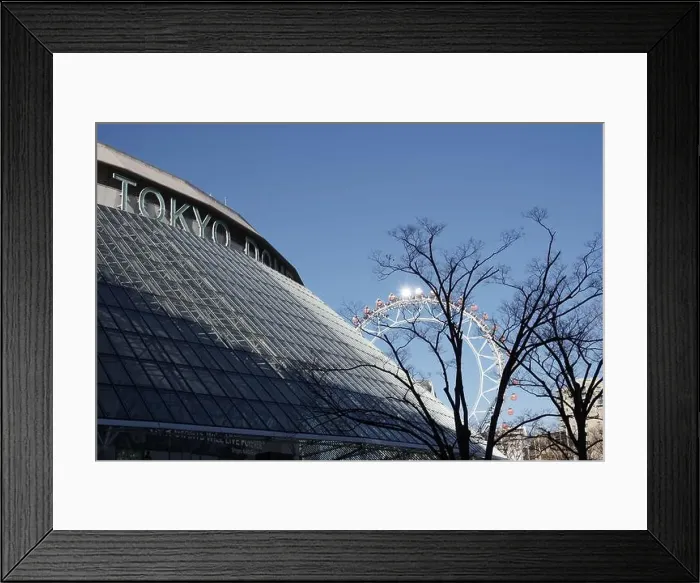 Framed Print : Ferris wheel peeking from behind the Tokyo Dome Framed Print : Ferris wheel peeking from behind the Tokyo Dome