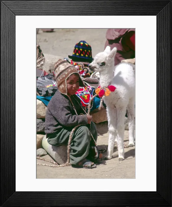 Framed Print : Boy with a baby llama in the Colca Canyon region of Peru Framed Print : Boy with a baby llama in the Colca Canyon region of Peru