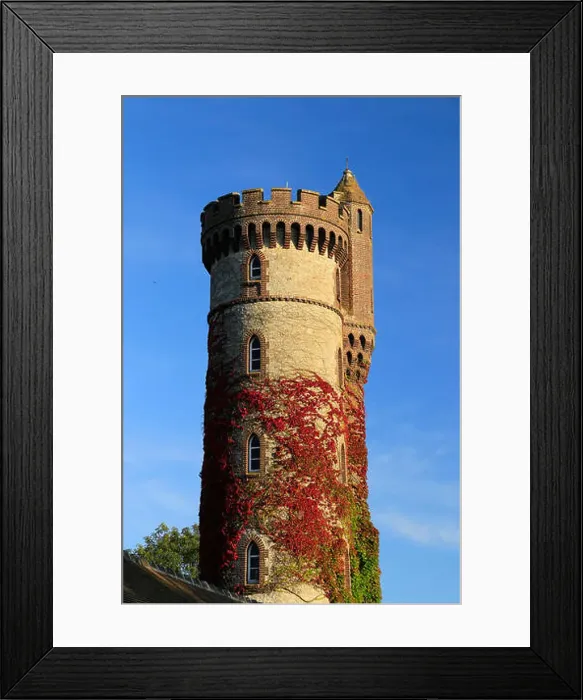 Framed Print : Ivy clad tower in France - French Castle tower - Rapunzel Framed Print : Ivy clad tower in France - French Castle tower - Rapunzel