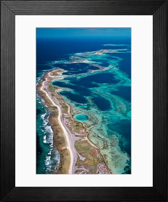 Framed Print : Coral reef, Abrolhos Islands, Western Australia Framed Print : Coral reef, Abrolhos Islands, Western Australia