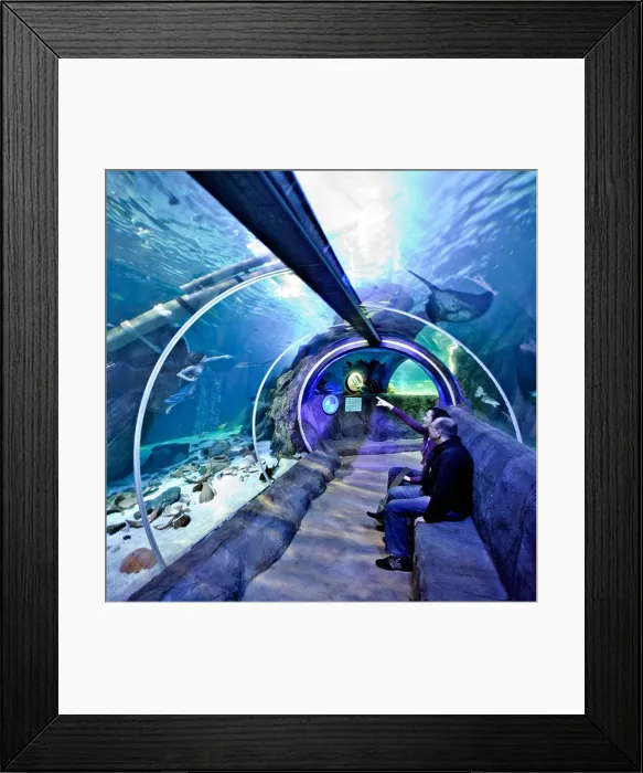 Framed Print : aquarium amusement park, Germany, North Rhine-Westphalia, Ruhr Area, Oberhausen