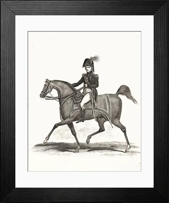 Framed Print : Duke of Wellington Framed Print : Duke of Wellington