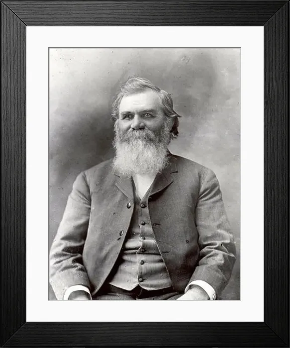 Framed Print : Daniel David Palmer or D.D. Palmer (1845 – 1913) founder of chiropractic Framed Print : Daniel David Palmer or D.D. Palmer (1845 – 1913) founder of chiropractic