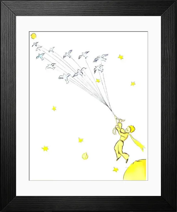 Framed Print : This artwork, titled Piccolo Principe VolaConMigratori Framed Print : This artwork, titled Piccolo Principe VolaConMigratori