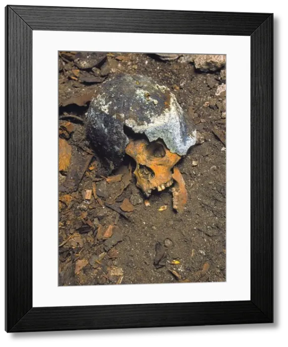 Framed Print : Skull of Japanese WW2 soldier still wearing helmet Framed Print : Skull of Japanese WW2 soldier still wearing helmet