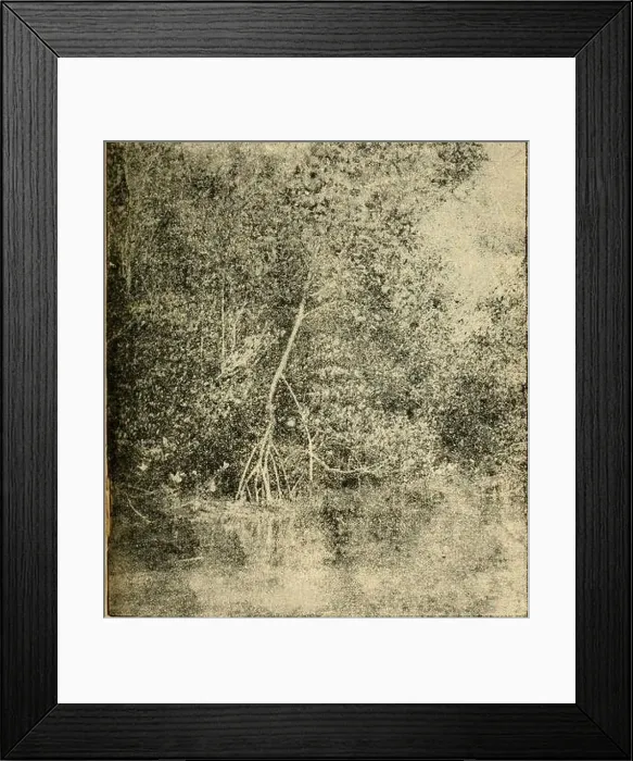 Framed Print : Report of the... meeting. Vol I Framed Print : Report of the... meeting. Vol I
