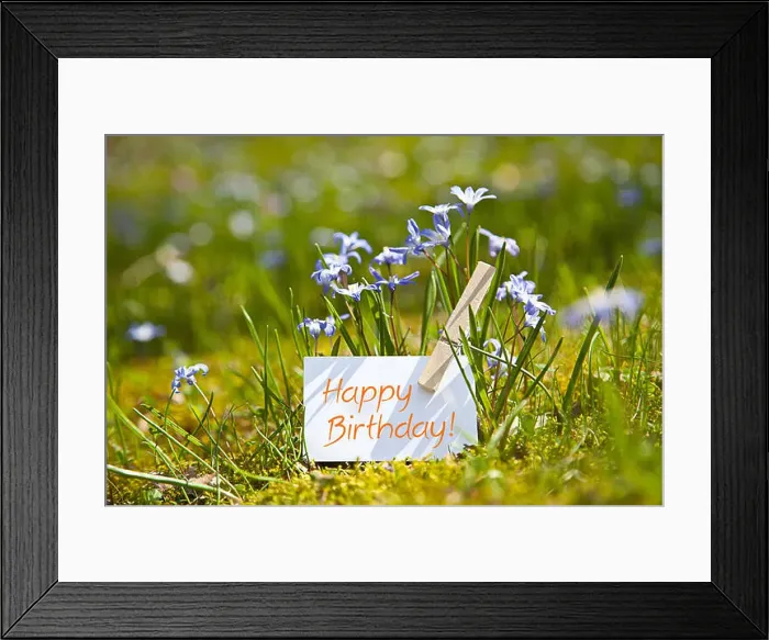 Framed Print : „Happy Birthday! with spring flowers Framed Print : „Happy Birthday! with spring flowers