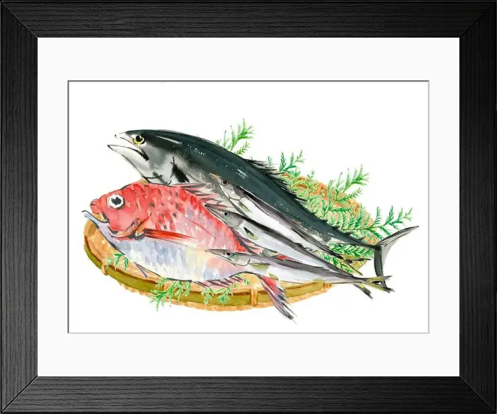 Framed Print : Illustration of bonito, sea bream and barracuda on a colander painted with watercolours white background Framed Print : Illustration of bonito, sea bream and barracuda on a colander painted with watercolours white background