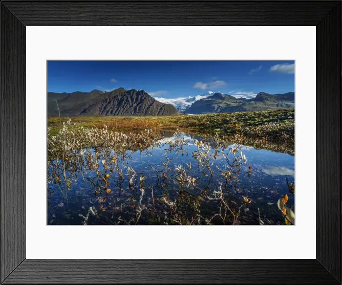 Framed Print : Fall landscapes in Skaftafell National Park, Svinafellsjokull glacier in the background, Iceland Framed Print : Fall landscapes in Skaftafell National Park, Svinafellsjokull glacier in the background, Iceland