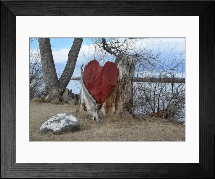 Framed Print : Heart painted on dead tree stump Framed Print : Heart painted on dead tree stump