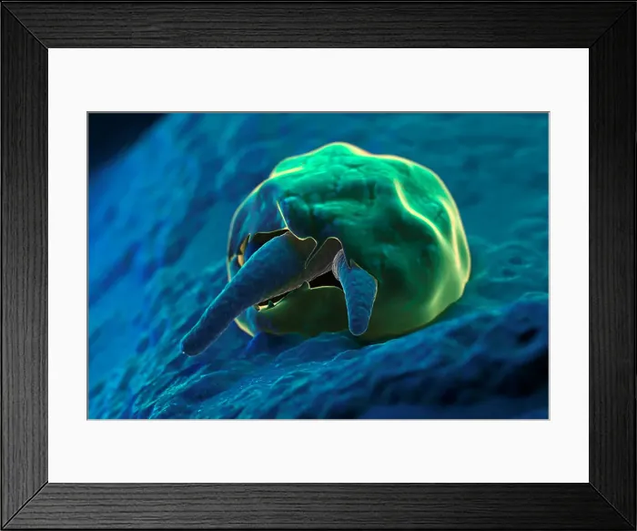 Framed Print : Scanning electromicrograph styled parasitic infection Cryptosporidium Framed Print : Scanning electromicrograph styled parasitic infection Cryptosporidium
