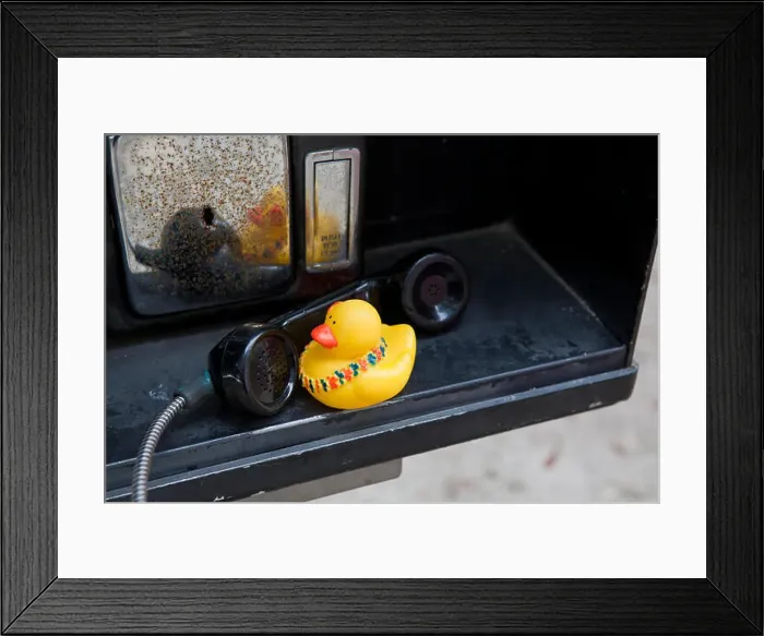 Framed Print : Rubber duck talking on a pay phone Framed Print : Rubber duck talking on a pay phone