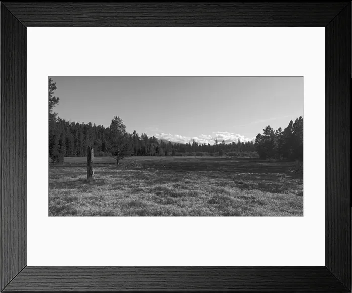 Framed Print : Cascade Mountains Meadow black and white Framed Print : Cascade Mountains Meadow black and white