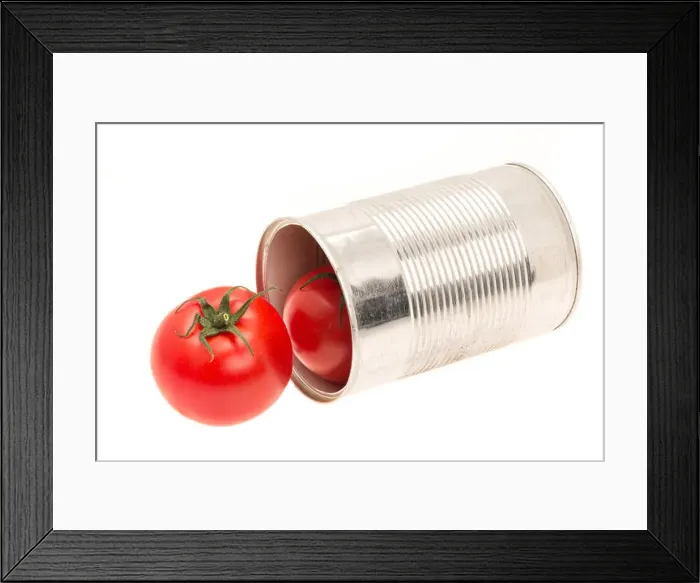 Framed Print : Concept idea of an open can with fresh tomatoes - studio shot with a white background Framed Print : Concept idea of an open can with fresh tomatoes - studio shot with a white background