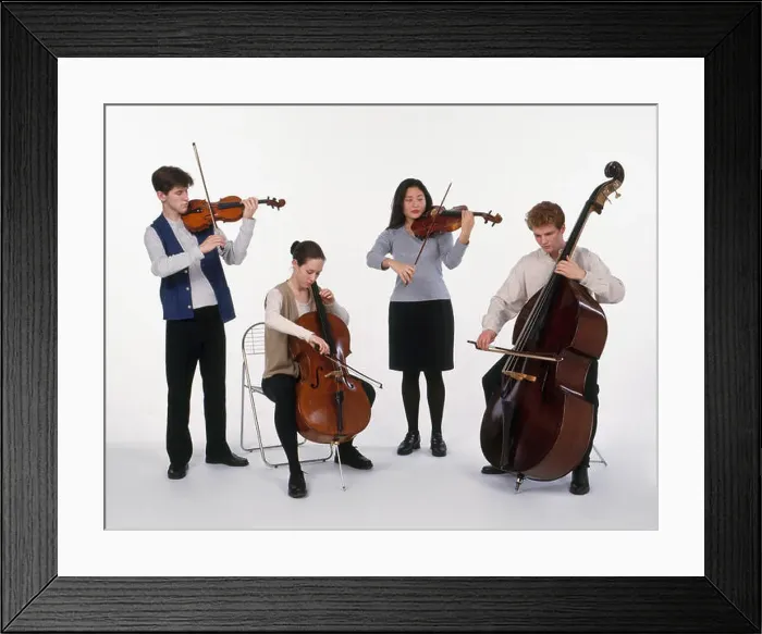 Framed Print : String quartet consisting of a group of teenagers playing violin, cello, viola and double bass Framed Print : String quartet consisting of a group of teenagers playing violin, cello, viola and double bass