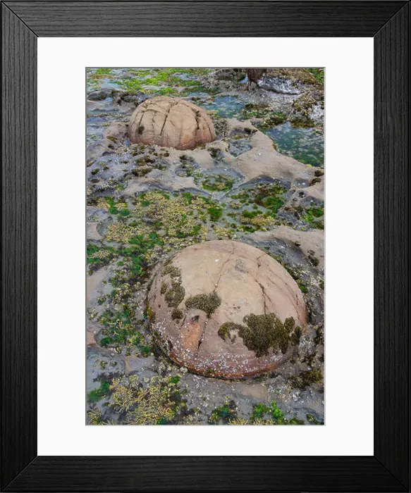 Framed Print : Katiki Boulders on Shag Point, New Zealand Framed Print : Katiki Boulders on Shag Point, New Zealand