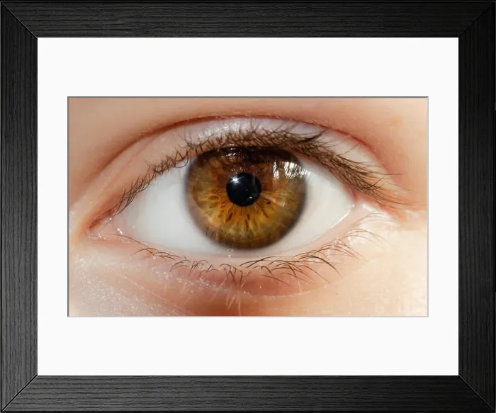 Framed Print : A beautiful hazel eye close up looking into the camera Framed Print : A beautiful hazel eye close up looking into the camera