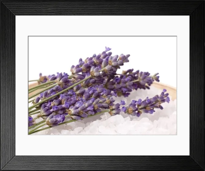 Framed Print : Lavender bath items isolated on the white backround. fresh flowers and salt Framed Print : Lavender bath items isolated on the white backround. fresh flowers and salt