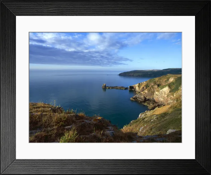 Framed Print : Berry Head National Nature Reserve near Torquay south devon England Framed Print : Berry Head National Nature Reserve near Torquay south devon England