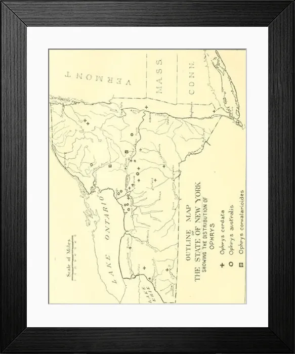 Framed Print : A 1917 report detailing the harmful and beneficial insects found in New York State Framed Print : A 1917 report detailing the harmful and beneficial insects found in New York State