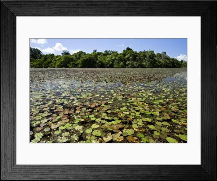 Framed Print : Blue lagoon with sunken garden in the Reserve Indigena Kayabi - Caiabi tribe Framed Print : Blue lagoon with sunken garden in the Reserve Indigena Kayabi - Caiabi tribe