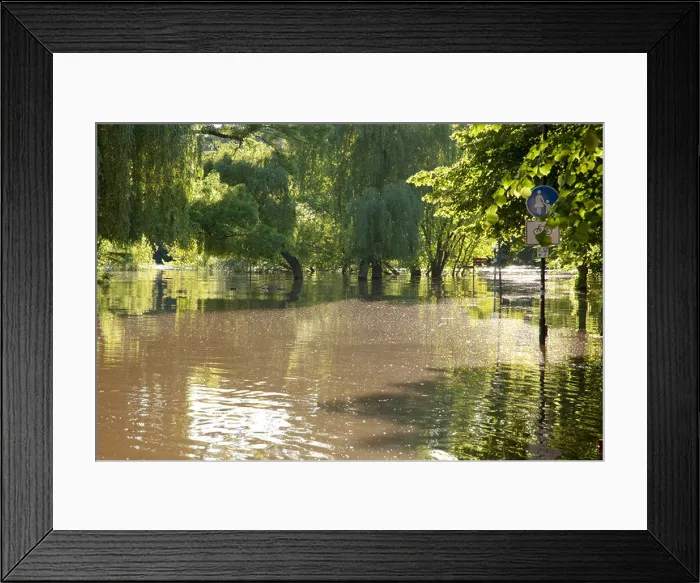 Framed Print : flood of river Saale in Halle, Emil-Eichhorn-Strasse, Germany, 05. June 2013; Hochwasser in Halle (Saale)