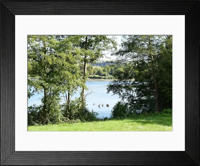 Framed Print : Lac d'Echternach in early autumn Framed Print : Lac d'Echternach in early autumn