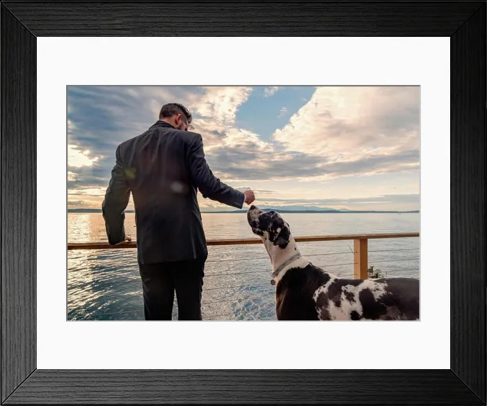 Framed Print : Rear view of professional wealthy man in suit holding drink with large breed harlequin great dane dog sniffing hand
