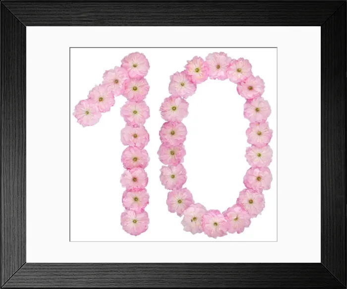 Framed Print : Numeral 10, ten, from natural pink flowers of almond tree, isolated on white background Framed Print : Numeral 10, ten, from natural pink flowers of almond tree, isolated on white background