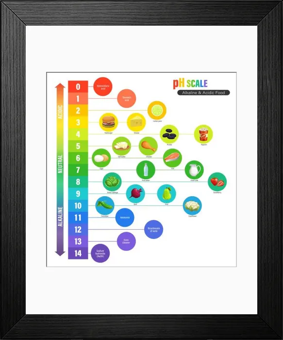 Framed Print : PH scale chart, alkaline and acidic nutrition measure meter Framed Print : PH scale chart, alkaline and acidic nutrition measure meter