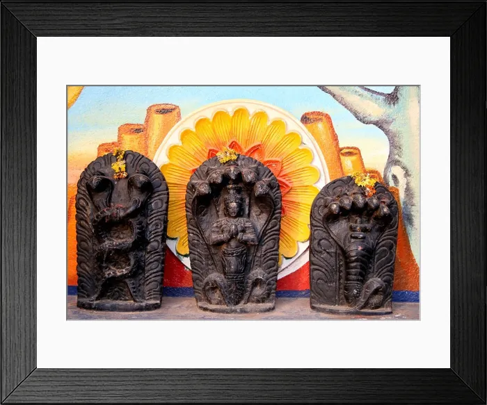Framed Print : Temple statues of the Hindu Naga snake god, India