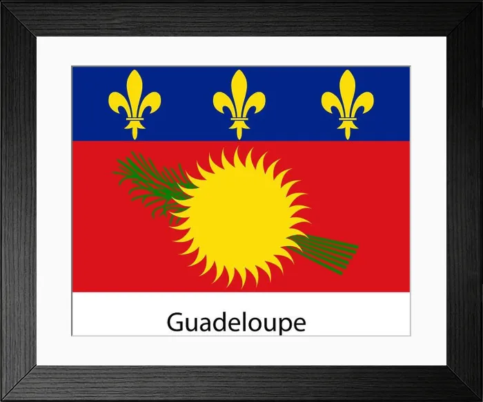 Framed Print : Flag of the country guadeloupe. Vector illustration. Exact colors Framed Print : Flag of the country guadeloupe. Vector illustration. Exact colors