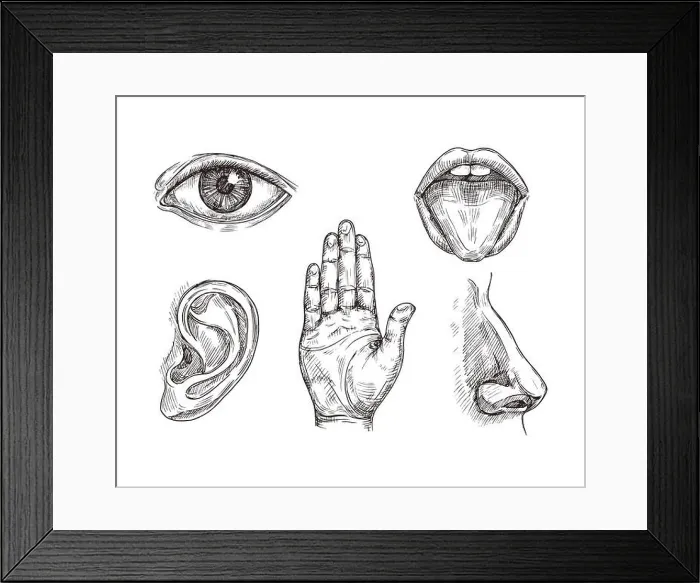 Framed Print : Sense organs. Hand drawn mouth and tongue Framed Print : Sense organs. Hand drawn mouth and tongue