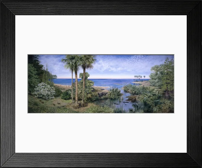 Framed Print : Eocene London clay Framed Print : Eocene London clay