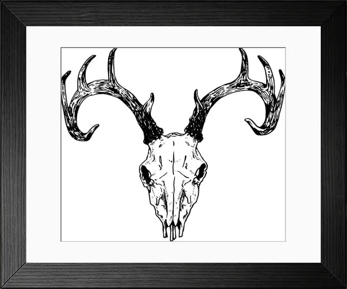 Framed Print : Deer - hand drawn illustration of animal skull in black and white | inspired by vintage styles Framed Print : Deer - hand drawn illustration of animal skull in black and white | inspired by vintage styles