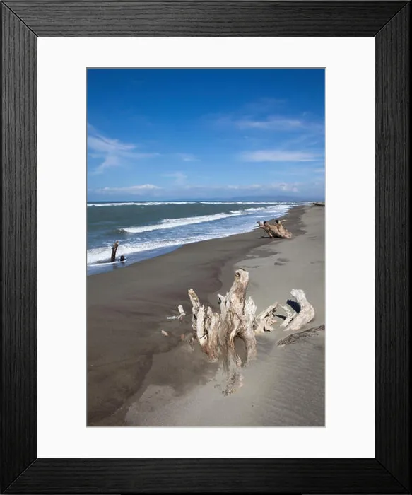 Framed Print : Driftwood on the beach of La Paz bei Laoag City Framed Print : Driftwood on the beach of La Paz bei Laoag City
