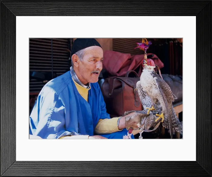 Framed Print : Falcon Trainer Marrakesh Morocco North Africa Framed Print : Falcon Trainer Marrakesh Morocco North Africa