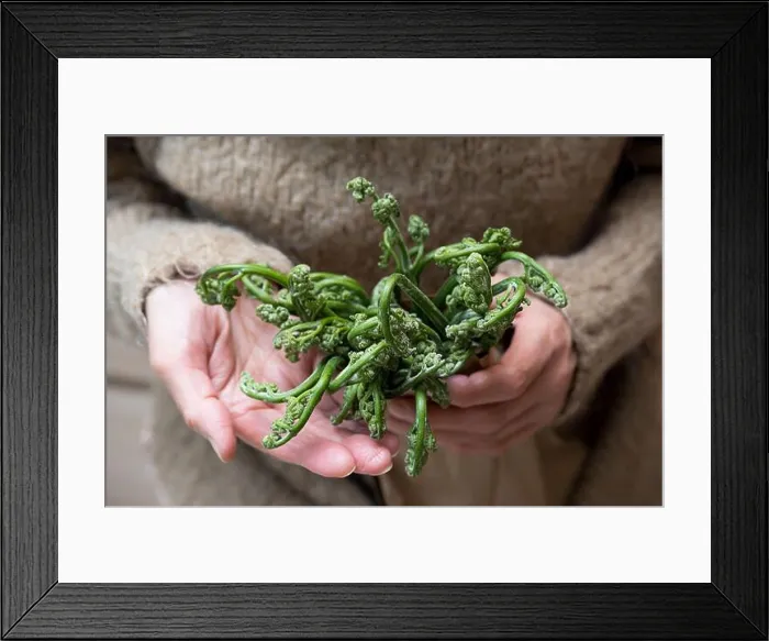 Framed Print : Bracken fern in eco craft paper bag
