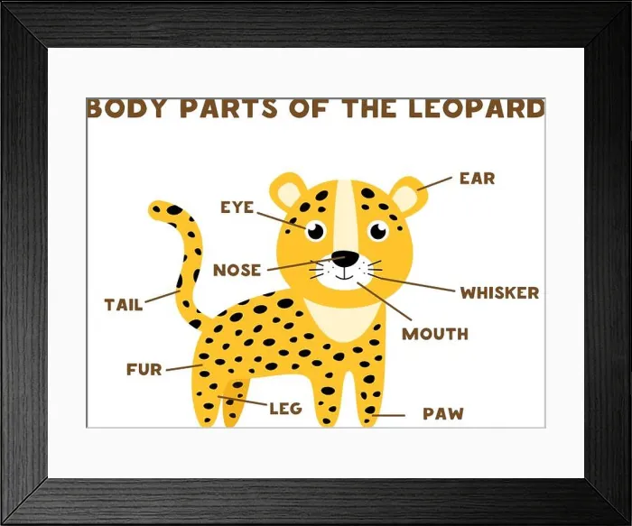 Framed Print : Body parts of the cute leopard. Animals anatomy in English for kids. Learning words Framed Print : Body parts of the cute leopard. Animals anatomy in English for kids. Learning words