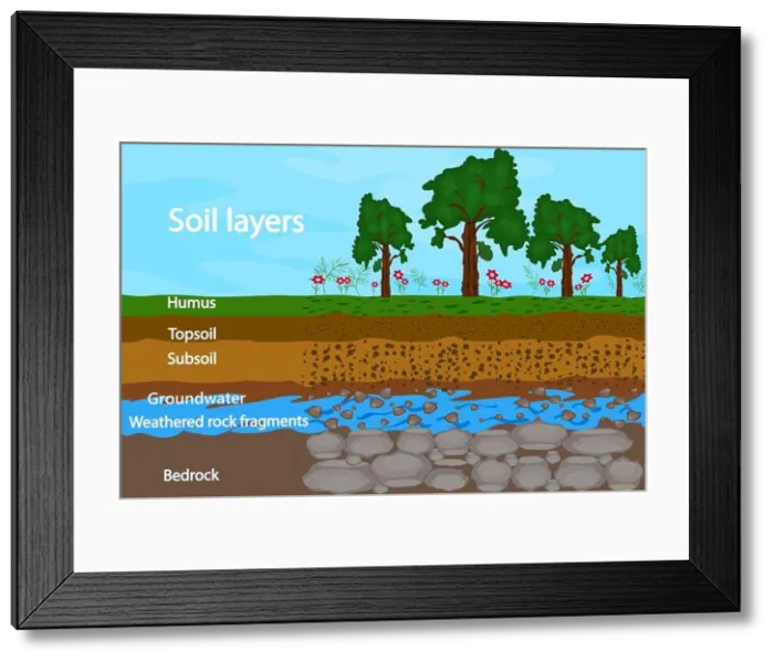 Framed Print : Soil layers. Diagram for layer of soil Framed Print : Soil layers. Diagram for layer of soil