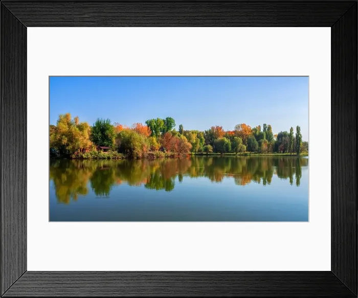 Framed Print : Bright summer landscapes with reflection of trees in the lake in Framed Print : Bright summer landscapes with reflection of trees in the lake in